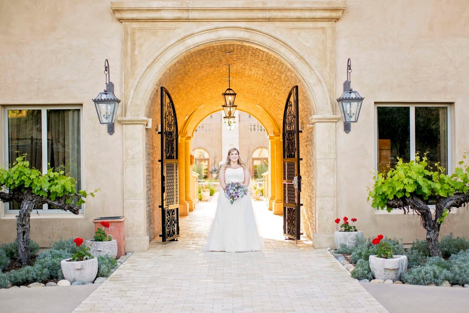 Bride stands in the Tunnel of Love at Allegretto Vineyard Reosrt in Paso Robles, CA