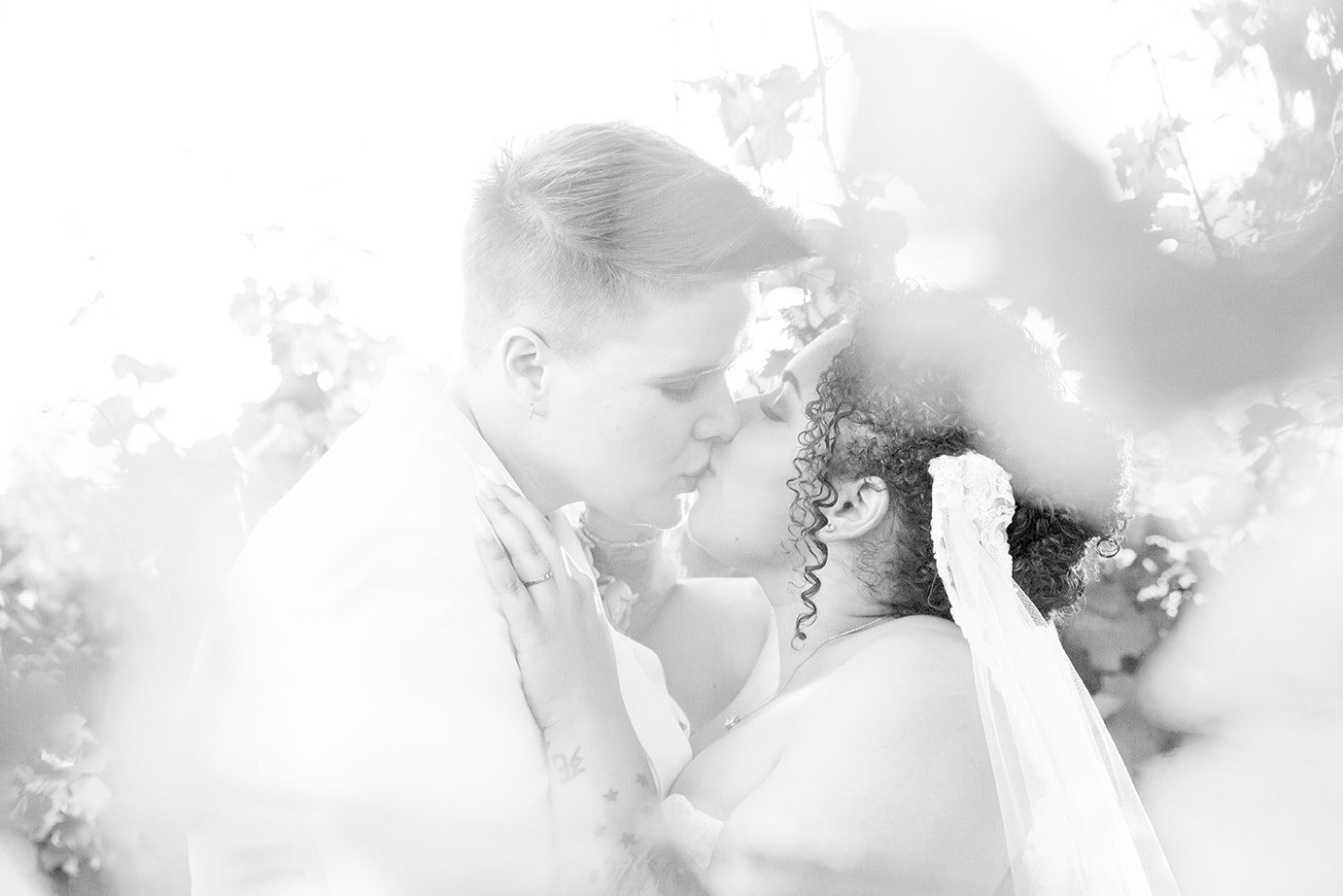 Brides kiss under the veil in a black and white photograph at Roblar Winery in Santa Ynez, CA