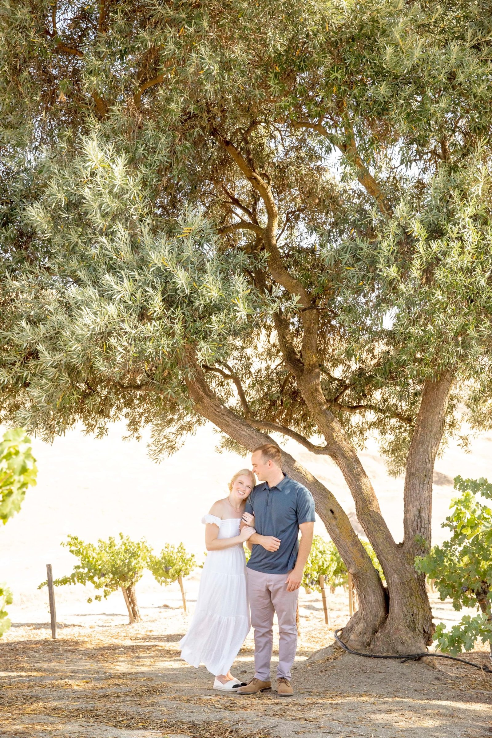 woman resting her head on her fiance's shoulder under an olive tree