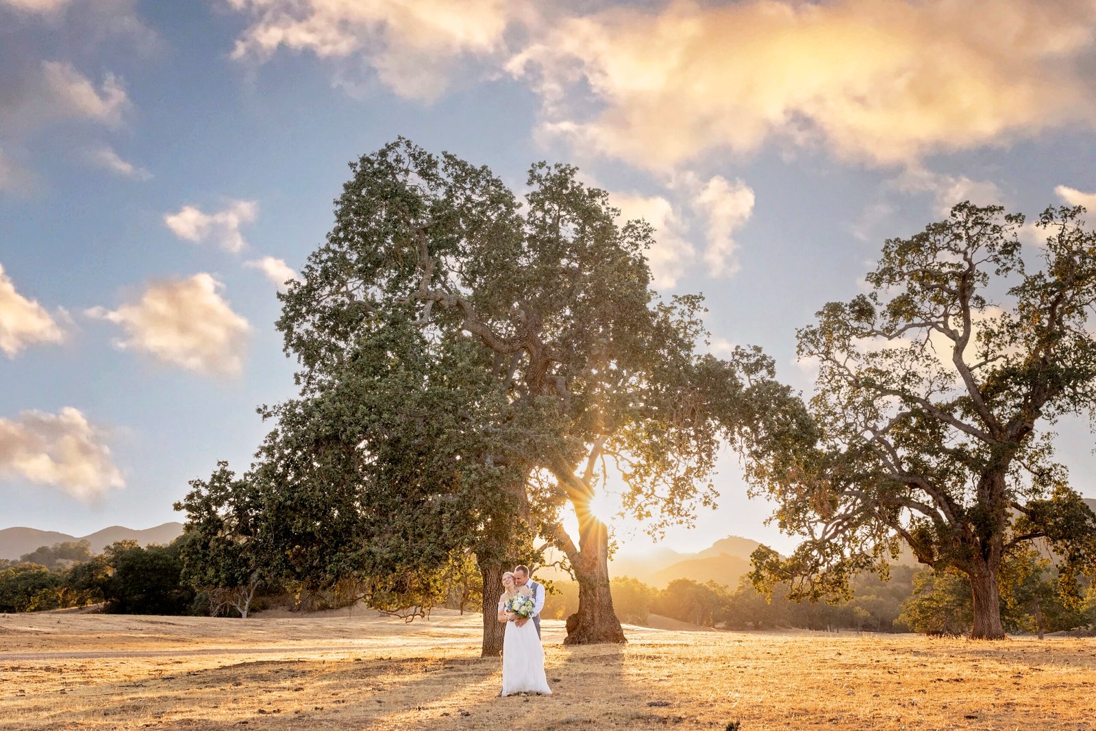 Bride and groom in a field under and oak tree at spanish oaks ranch