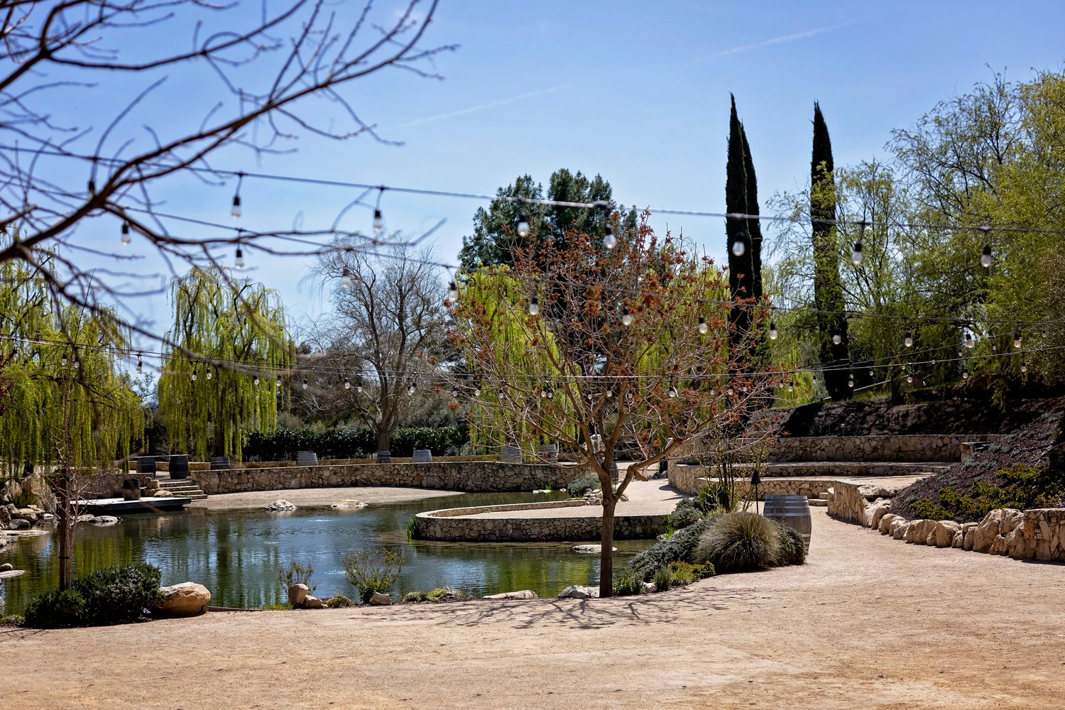 view of the pond at terra mia vineyard