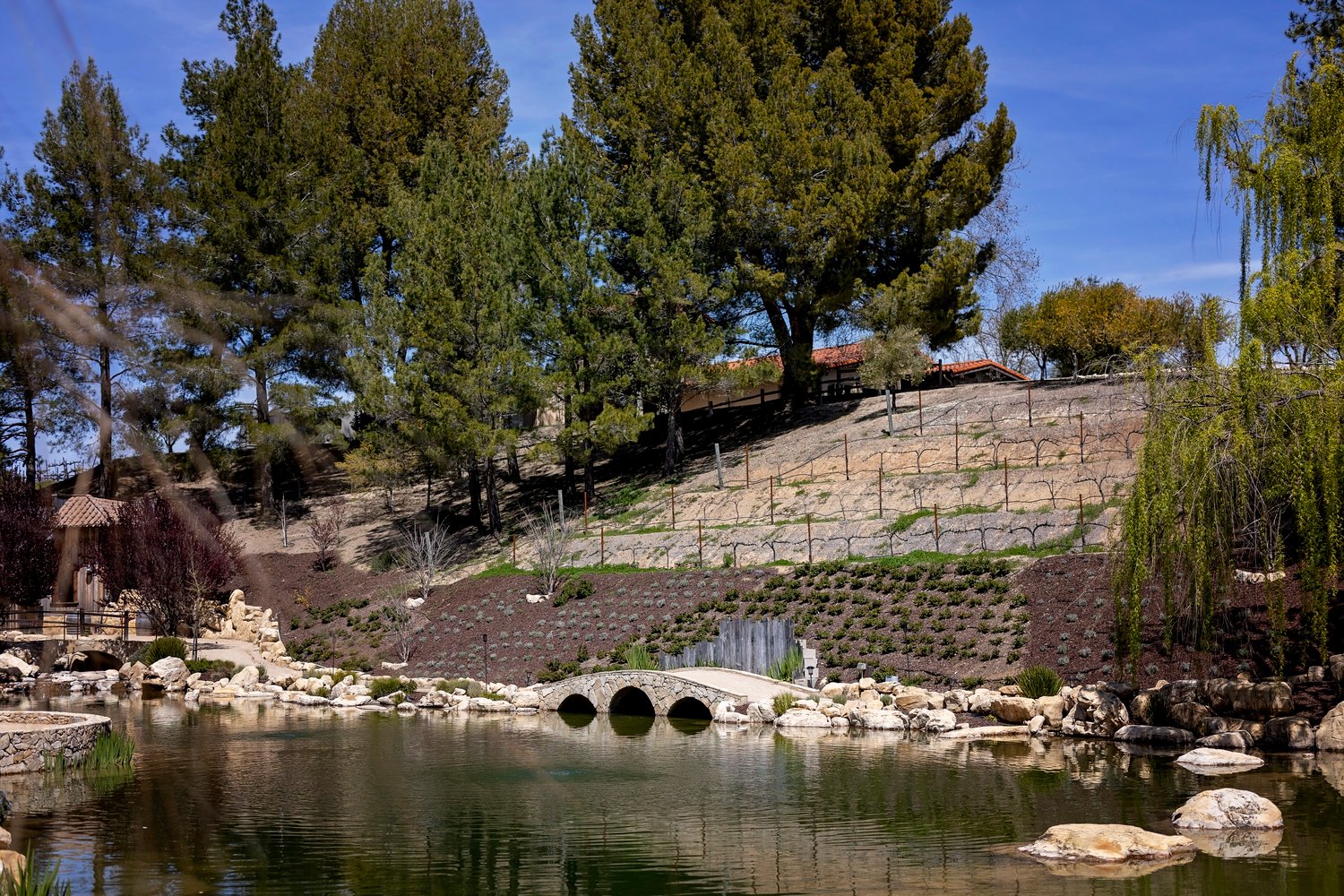 view of a pond with an arched stone bridge