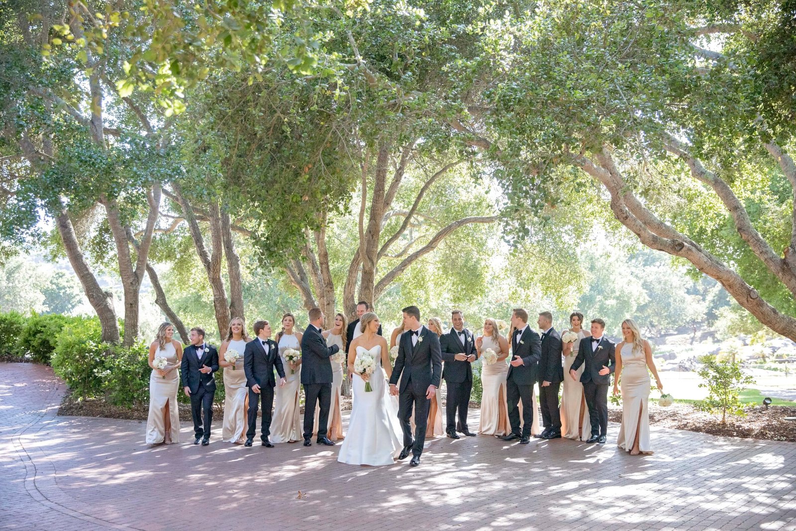 wedding party walking toward the camera under oak trees
