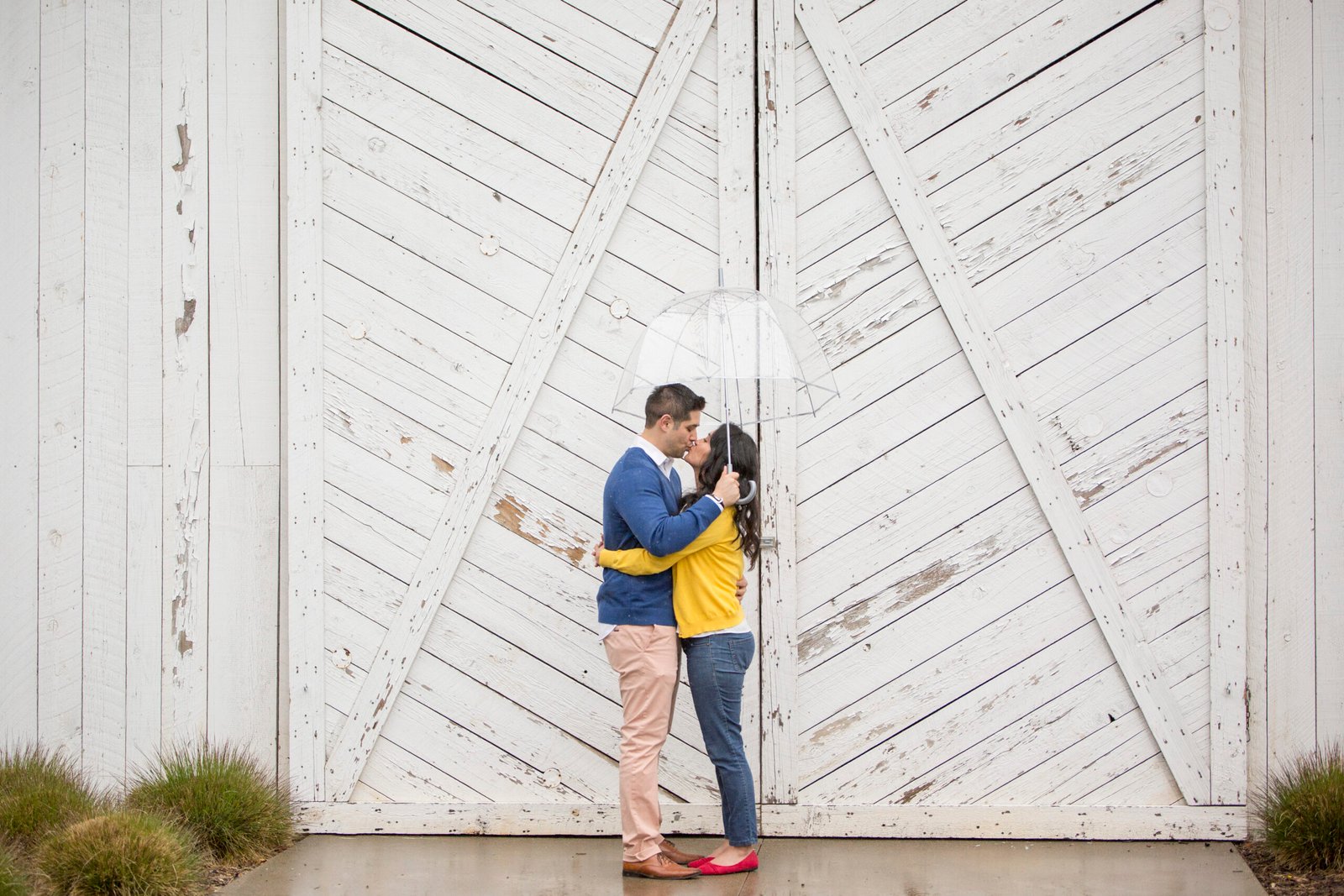 couple kiss under a clear umbrella at Halter Ranch
