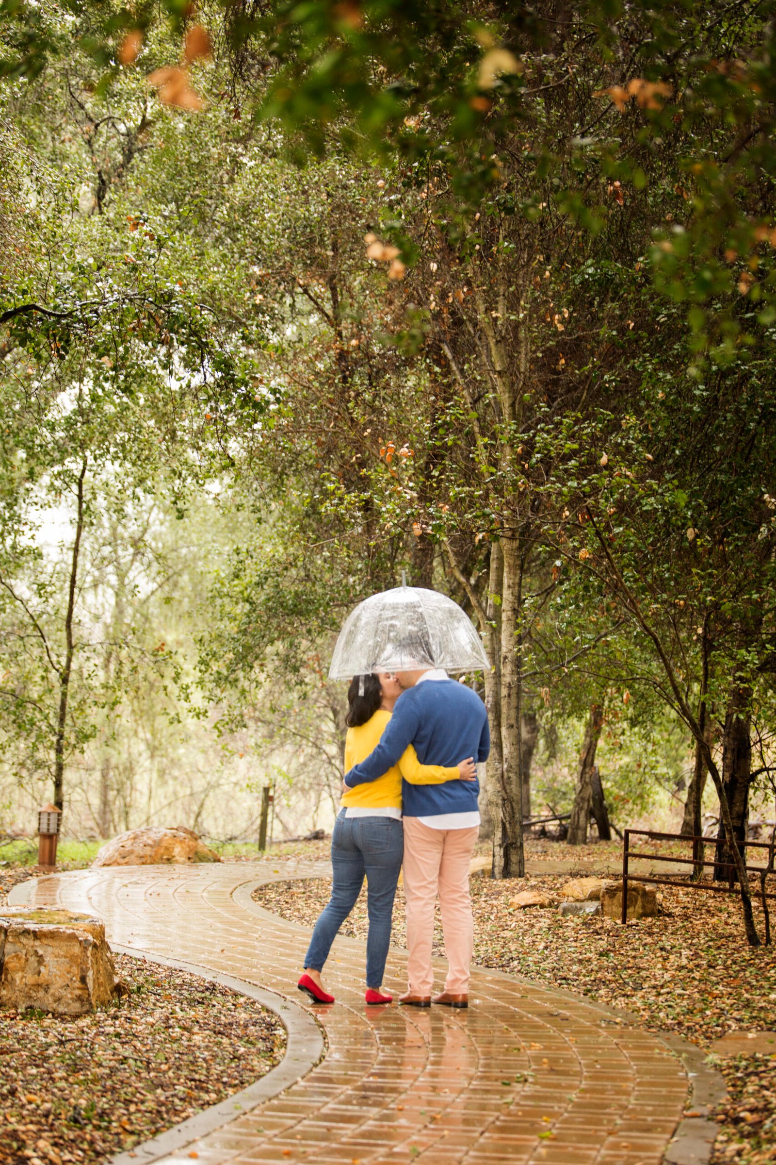 couple kissing under a clear umbrella on a paved path under oak trees