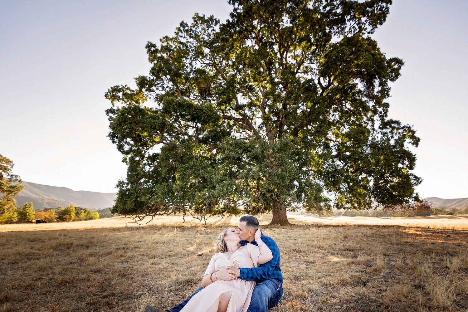 couple sitting on the ground and kissing in front of an oak tree in a field