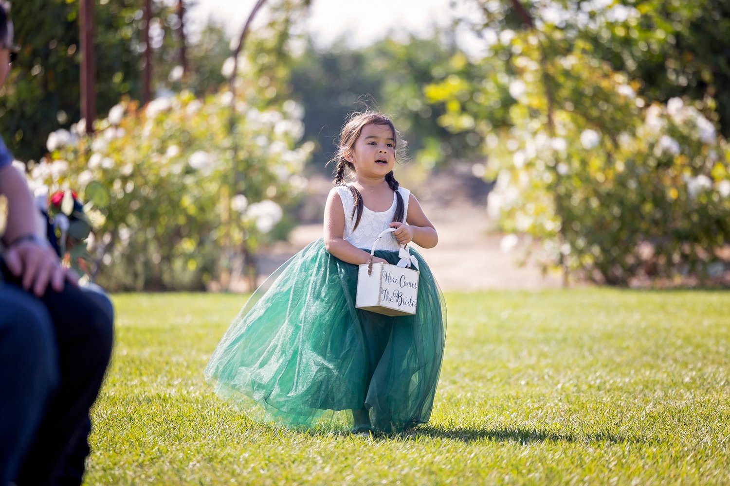 flower girl on the grass at a wedding