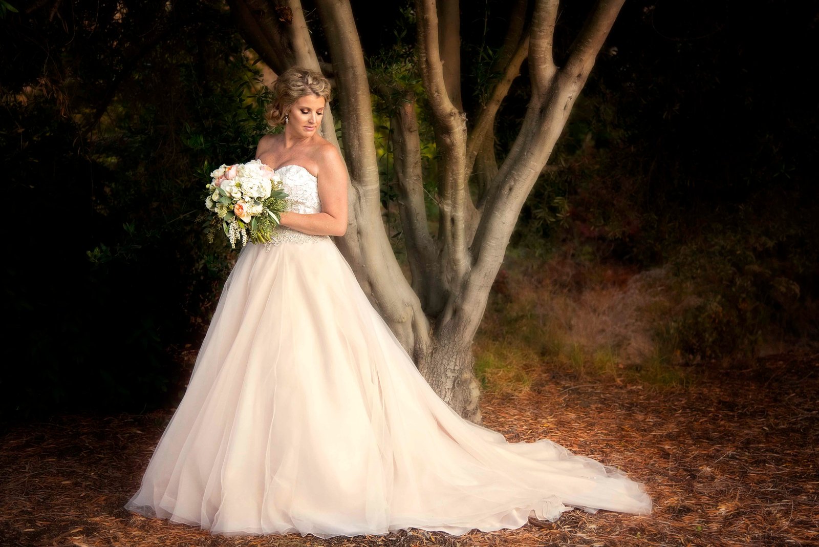 bride holding her veil in front of an olive tree looking down at her shoulder
